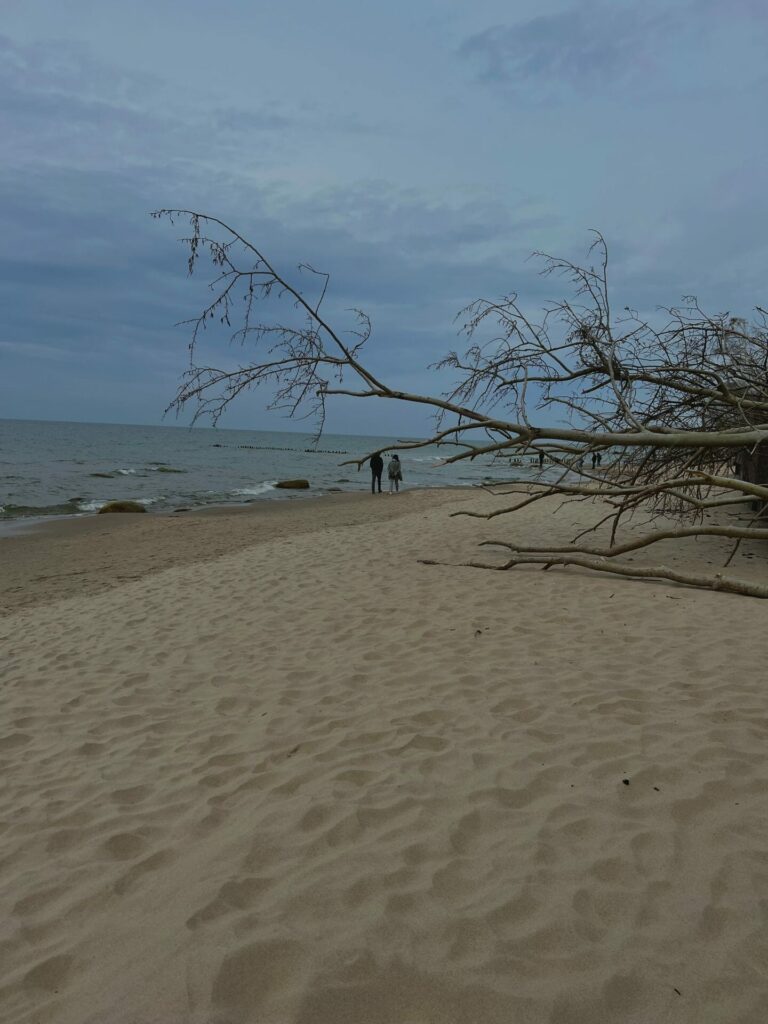 Tsagana bumcrumoz98 unsplash.jpg